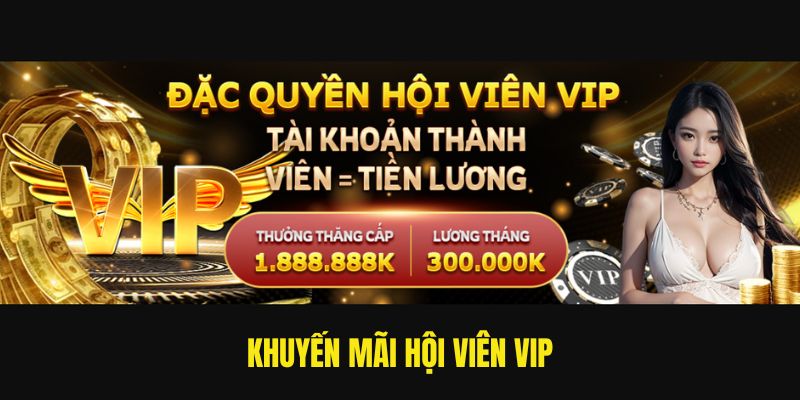 Khuyến mãi hội viên vip