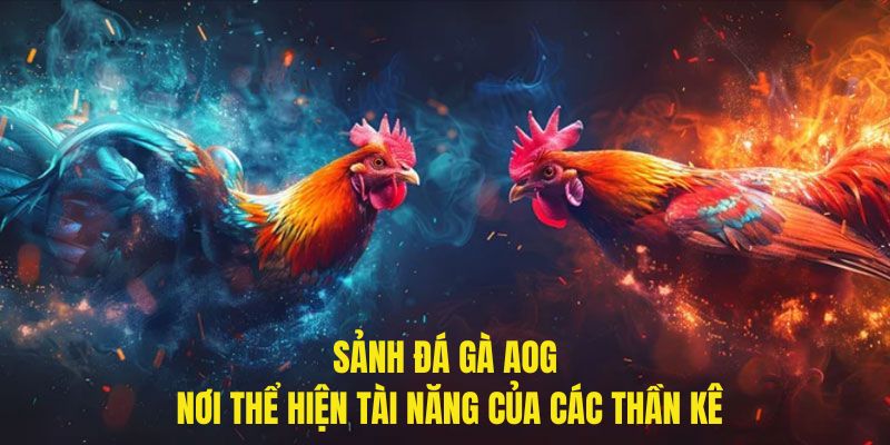 Sảnh Đá Gà AOG - Nơi Thể Hiện Tài Năng Của Các Thần Kê