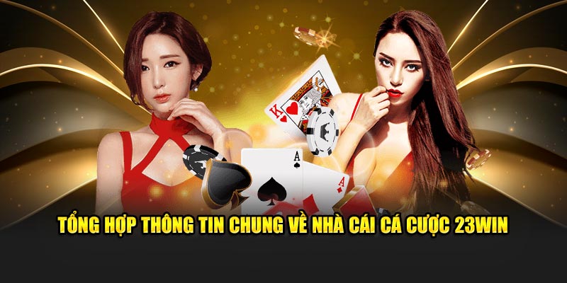 Tổng hợp thông tin chung về nhà cái cá cược 23Win